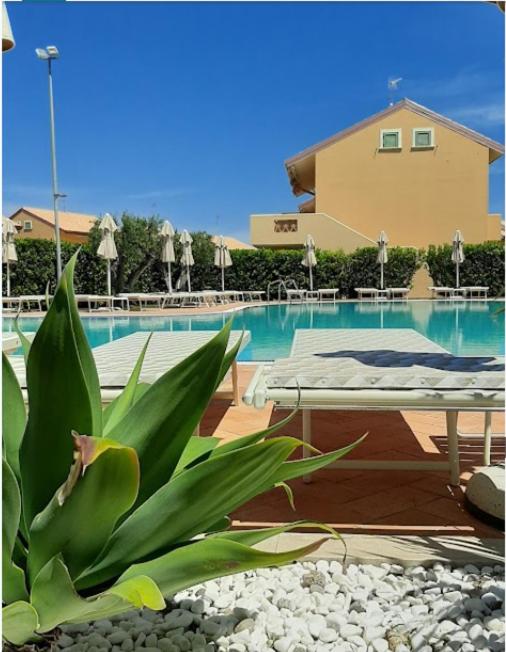 a plant in front of a swimming pool at Residenze Poseidon in Le Castella