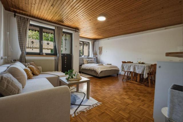 a living room with a couch and a table at Apartment Vineyard nook Lendava in Lendava