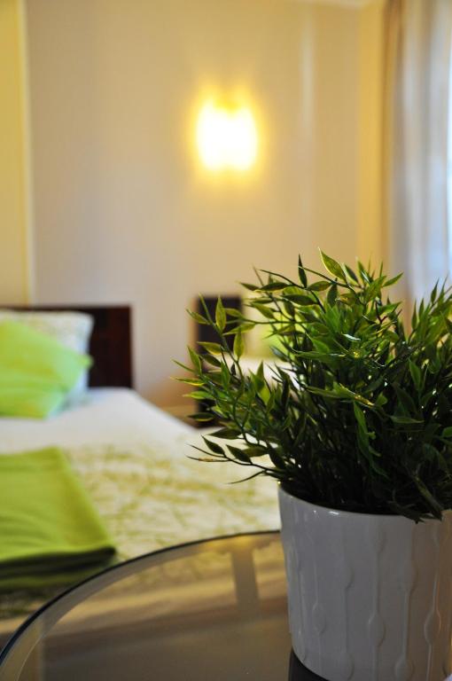 a potted plant sitting on a glass table next to a bed at Willa Kalinowa in Sopot