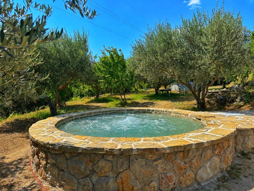 a circular pool in a stone wall with trees at Gazdinstvo Đurović in Dobra Voda