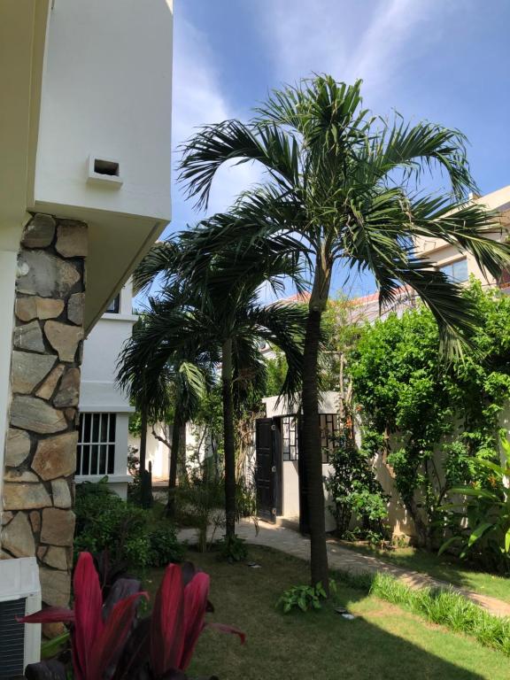 two palm trees in a yard next to a building at Nomads Kodjoviakopé in Lomé