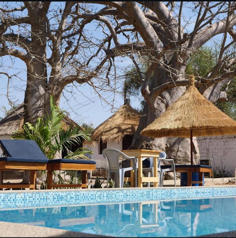 a swimming pool with chairs and an umbrella and a tree at les baobabs in Mbour