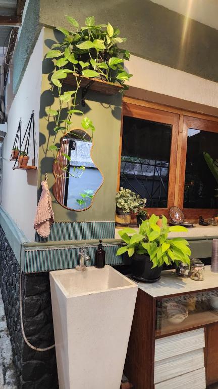SEMERU HOSTEL MALANG - Mixed Dormitory Room