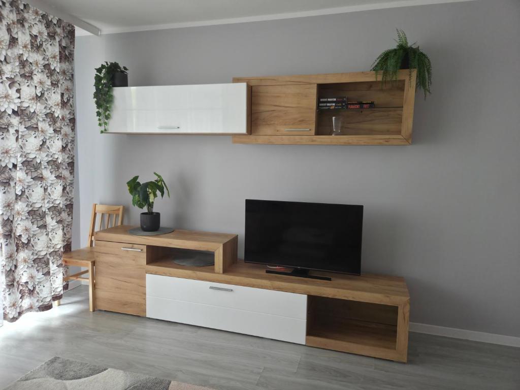 a living room with a television on a wooden entertainment center at Apartament cisza i spokój in Toruń