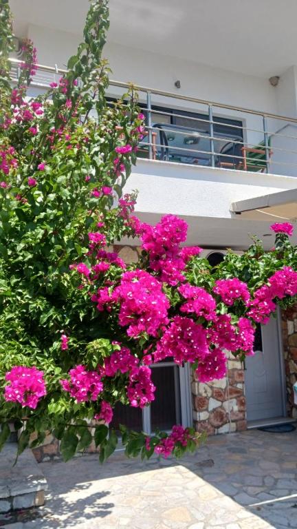 a bunch of pink flowers in front of a building at Vana's Apartments in Sarandë