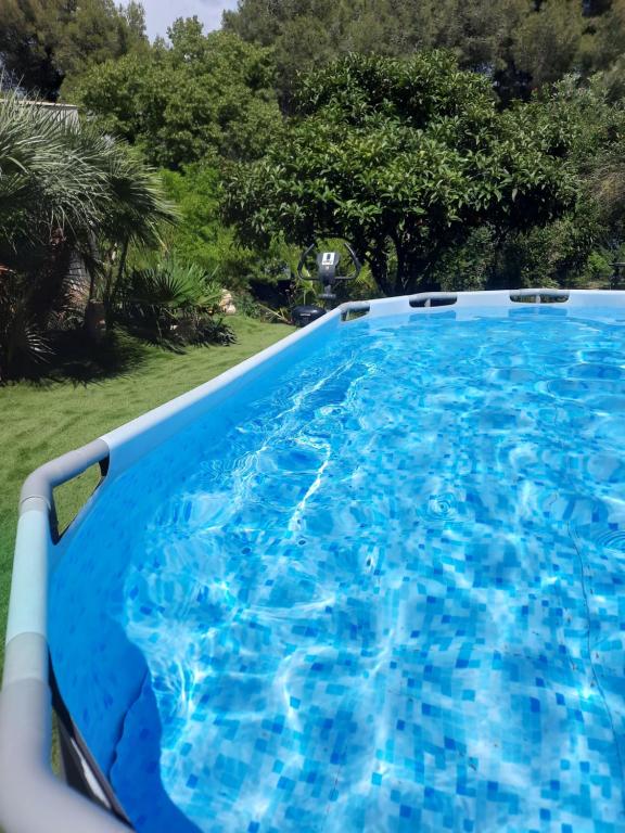 a large blue swimming pool in a yard at La Palmeraie in Istres