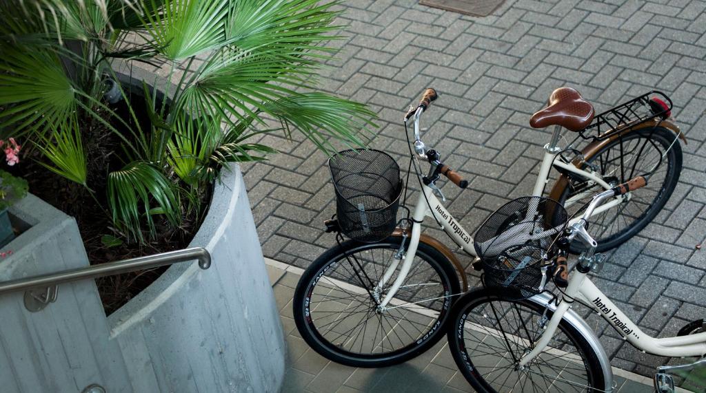 Jízda na kole v ubytování Hotel Tropical nebo okolí