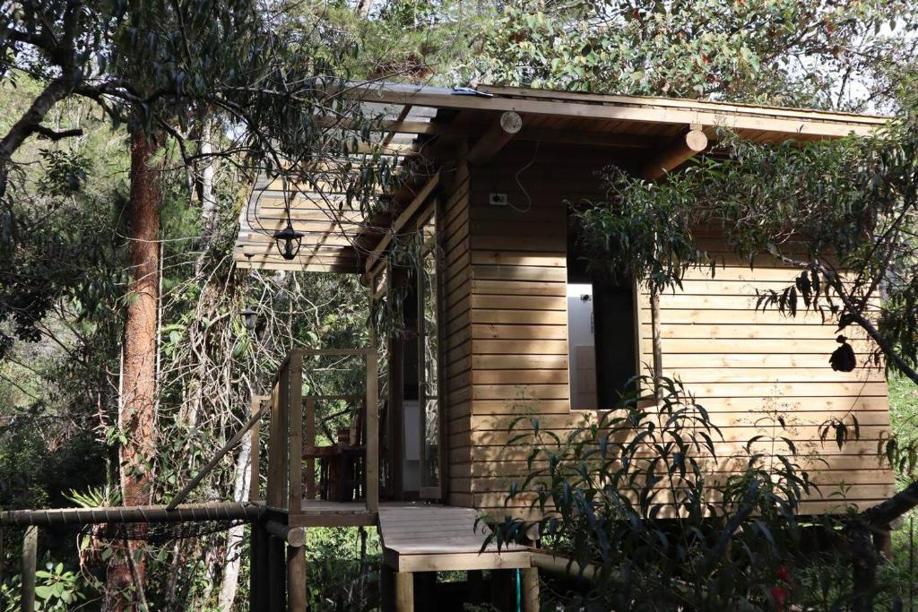 a small wooden cabin with a porch in the woods at Kai Ecoglamping in El Peñol