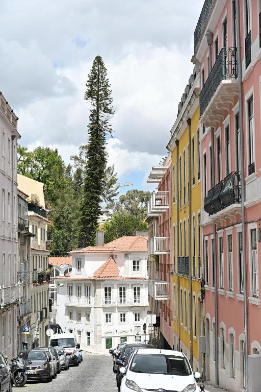 a city street with cars parked on the street at Hotel Principe Real in Lisbon