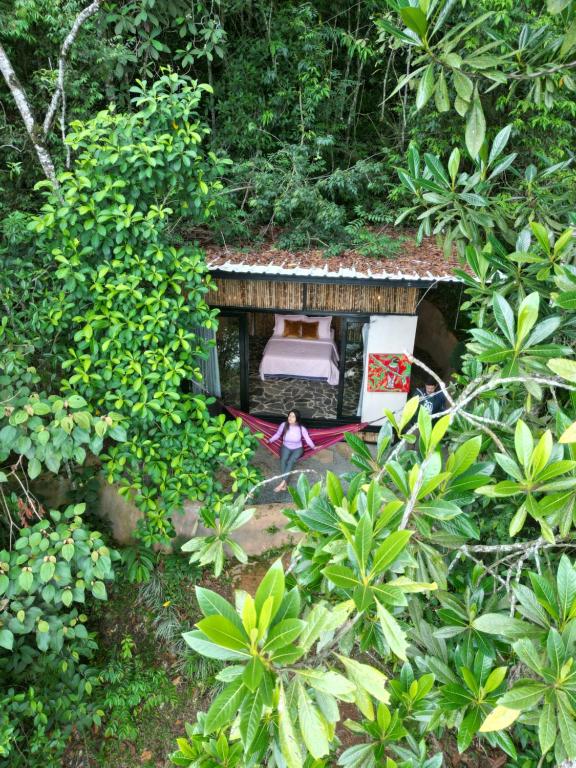 a person standing in a house in the forest at Eco Meeting in Cali
