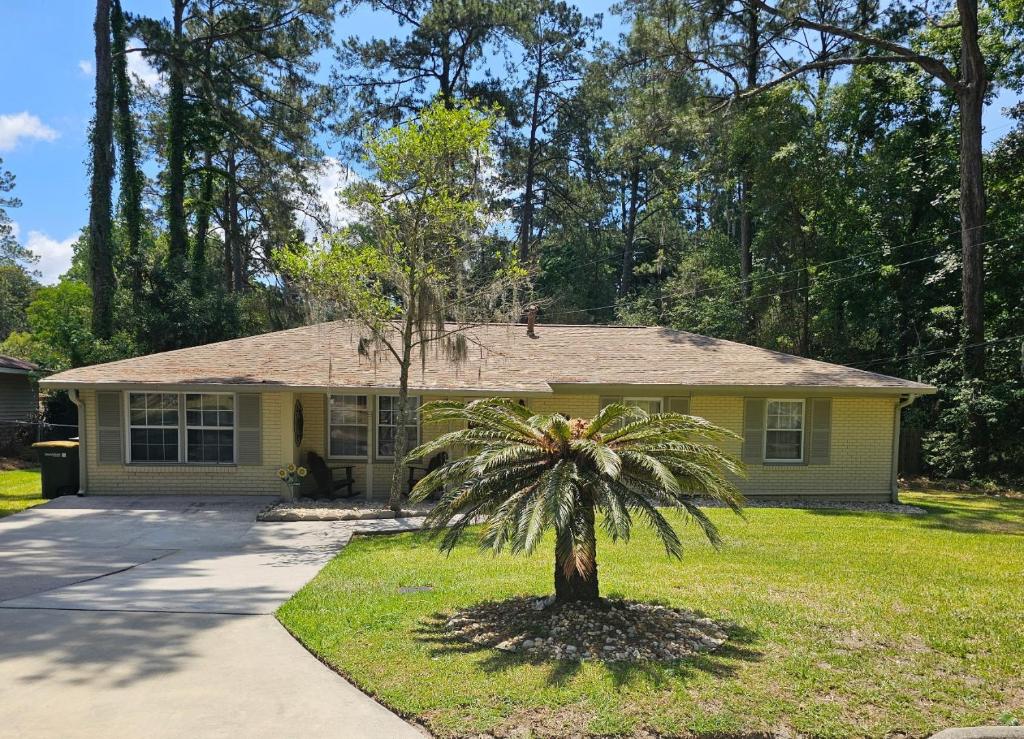 a palm tree in front of a yellow house at Robin's Nest Savannah in Savannah
