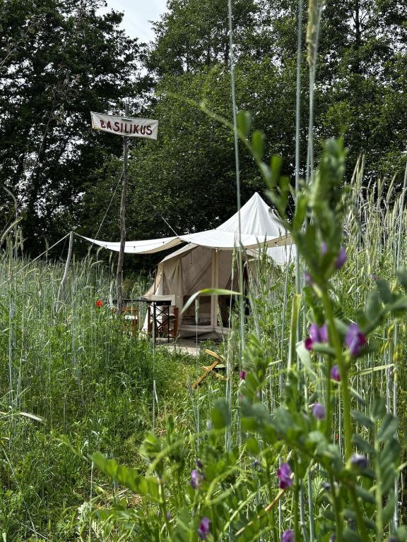 a white tent in the middle of a field at Eco glamping tent 'Basilikus' in Laakdal
