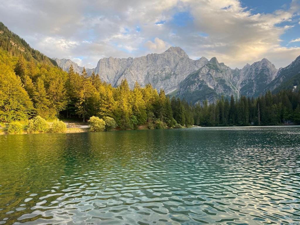 a lake with trees and mountains in the background at Apartma Confine in Rateče