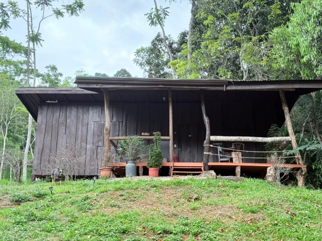 a black hut with plants in front of it at La Cabaña de Don Tavo in Roble