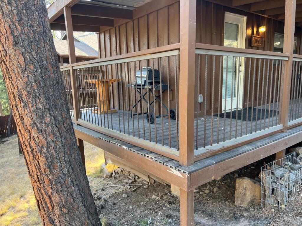 a screened in porch of a house with a tree at The Last Resort in Ruidoso