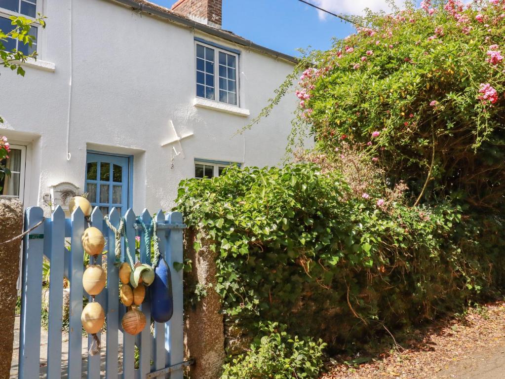 a blue fence in front of a white house at Gwynn Cottage in Bodmin
