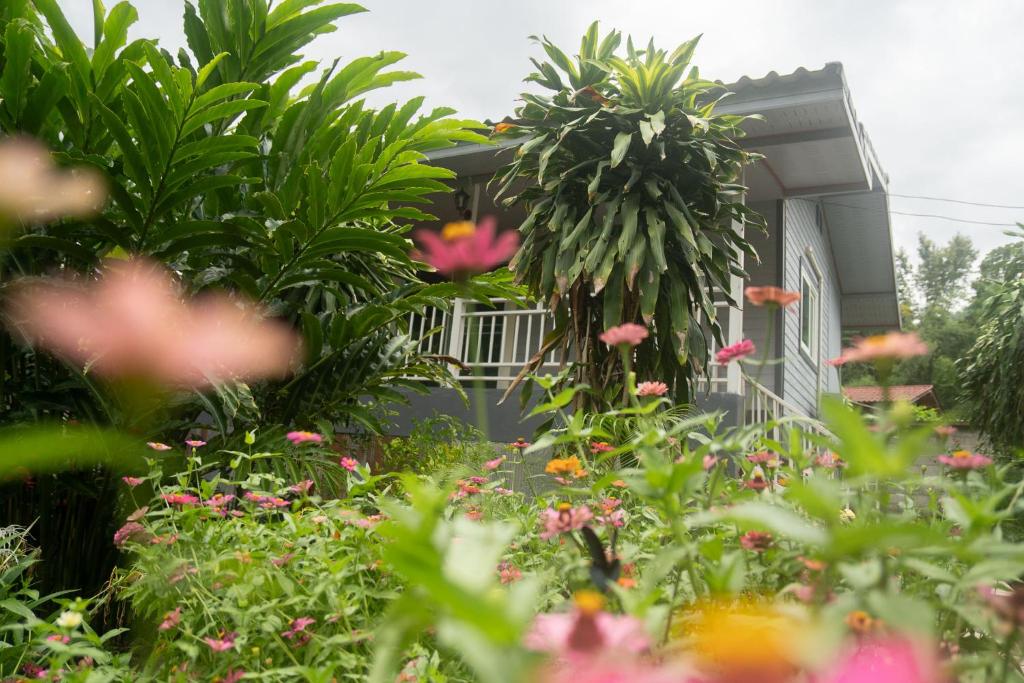 a garden with flowers in front of a house at Honey Home Pai in Pai
