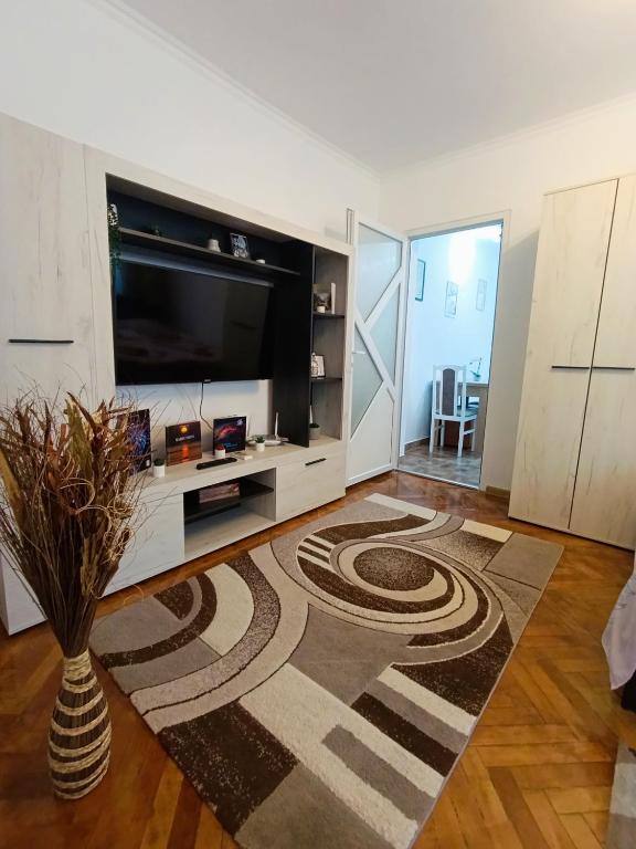 a living room with a large television and a vase at Mim's Home in Băile Herculane