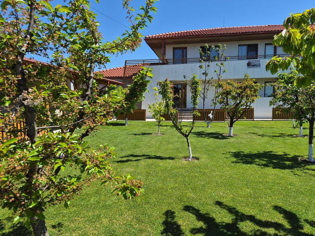 a yard with trees in front of a building at Pestele Ca Odinioară in Murighiol