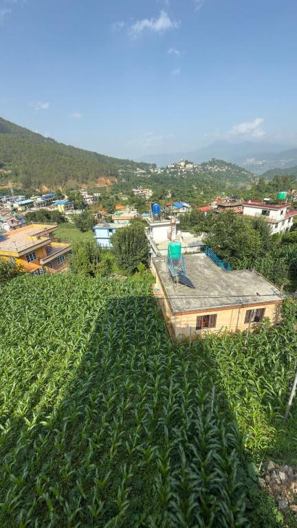 an overhead view of a house in a field of bananas at Satikhel StayInn in Pharping