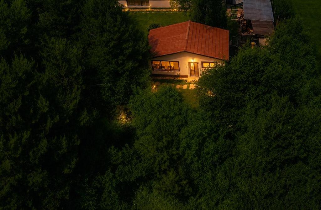 a house with lights on in a forest at night at Forest Hide Tiny House in Covasna