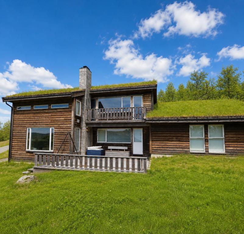 a house with a grass covered roof at Grand Mountain Lodge Filefjell in Tyinkrysset
