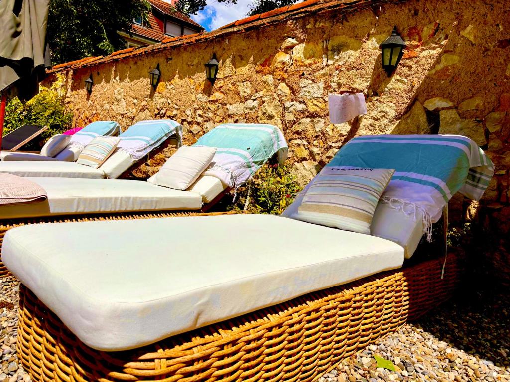 La Villa Alma Colmar – photo 15