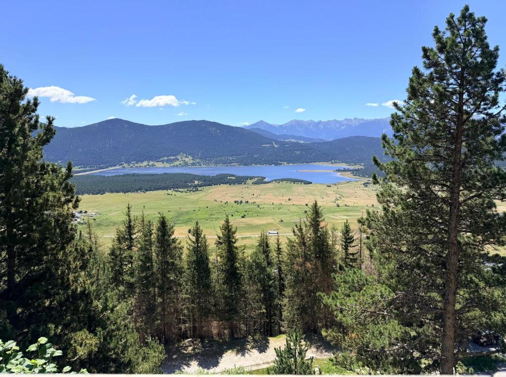a view of a lake in the middle of trees at L'Esquirol Appart - Location T3 avec vue imprenable - Les Angles in Les Angles