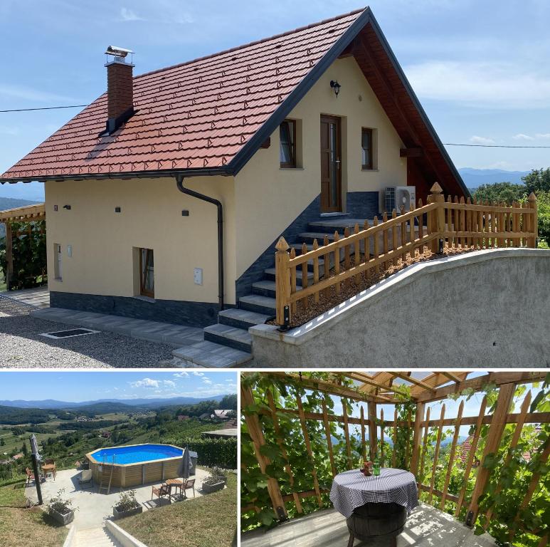a house with a tile roof and a swimming pool at Vineyard Cottage Joanna in Mirna Peč