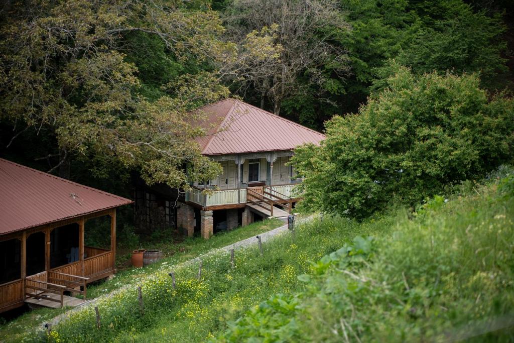 a house on a hill next to a forest at Kiketi Farm in Kiketʼi