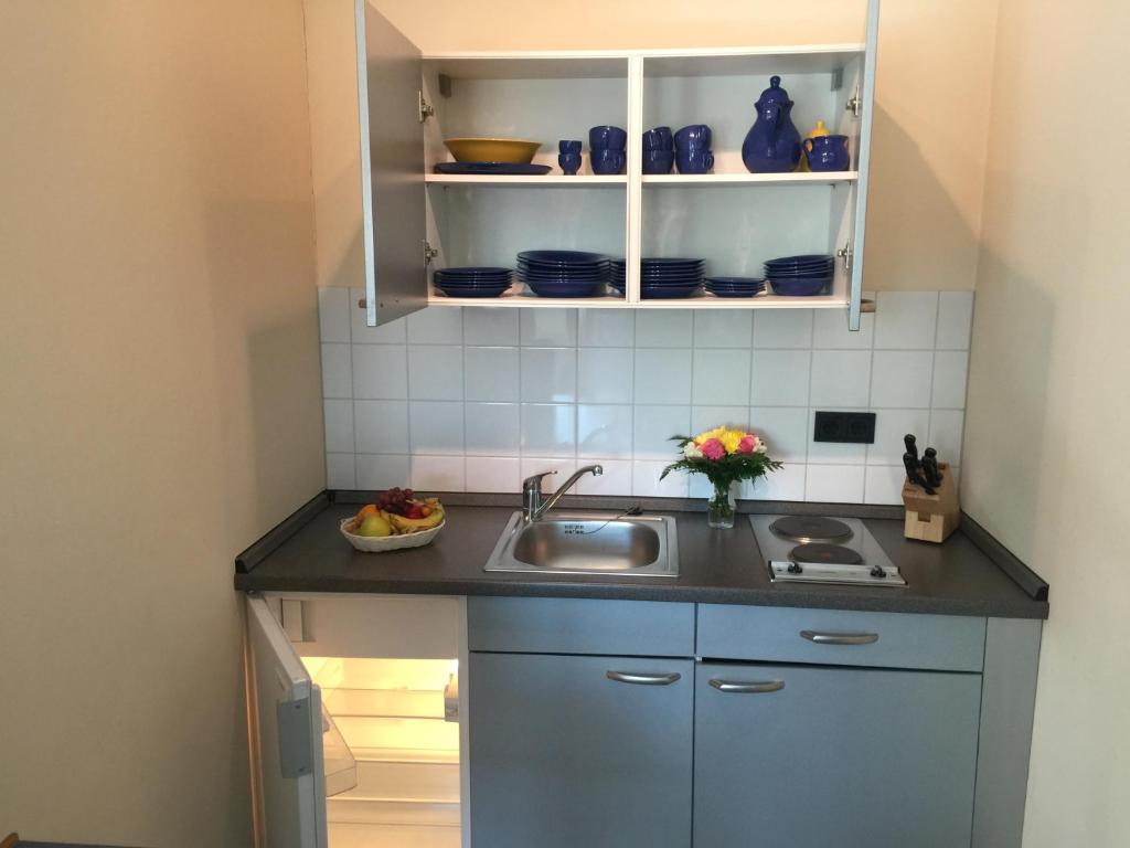 Kuchyň nebo kuchyňský kout v ubytování Hotel Ambiente