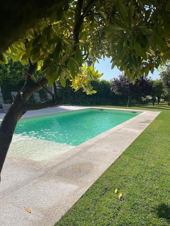 a swimming pool in a park with a tree at Quintinha d´Avó in Vila de Prado