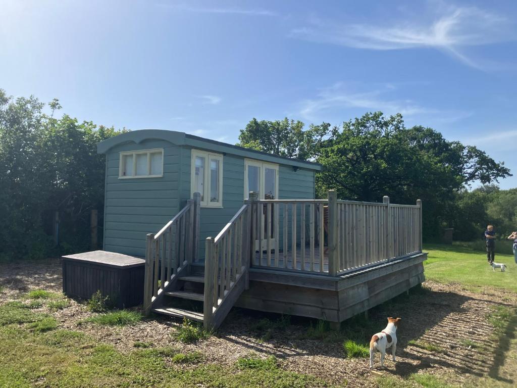 a dog standing in front of a tiny house at Arcadia Shepherds Hut in Ashwater