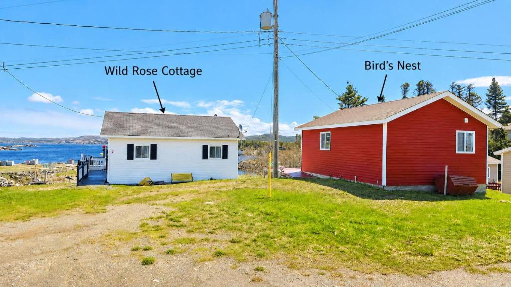 a small red and white house next to a building at The Wild Rose Cottage & Bird's Nest in Twillingate