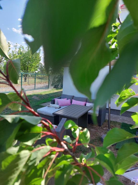 a picnic table and a couch in a yard at Secret Garden House in Surduk