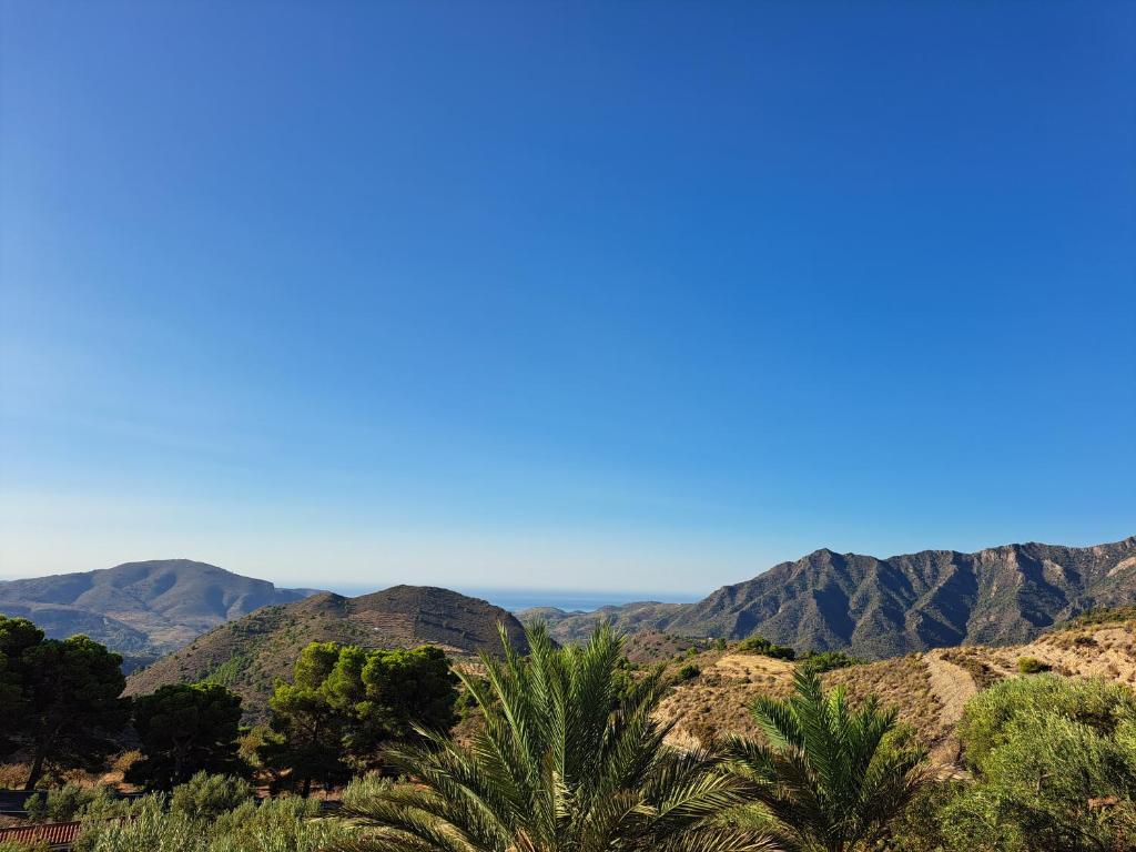 a view of the mountains and palm trees at Private caravan with mountain and sea view in Guájar-Faragüit