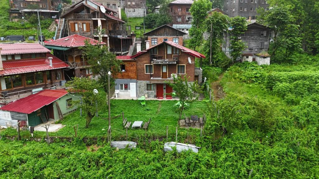 a group of houses on top of a hill at Ayder Palas Apart Hotel in Ayder Yaylasi