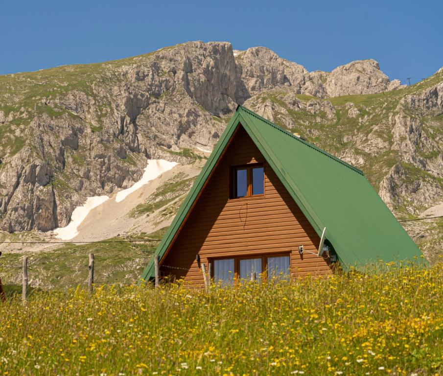 a wooden cabin with a green roof in a field of flowers at Durmitor Horizons in Žabljak