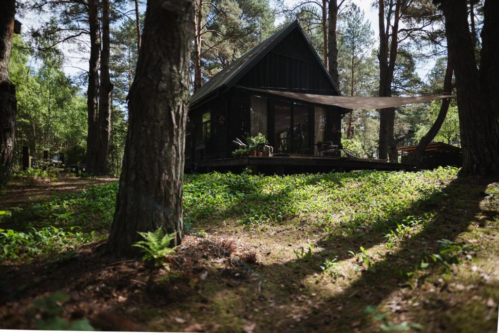 a small black cabin in the woods with trees at Wdech Wydech in Chełsty