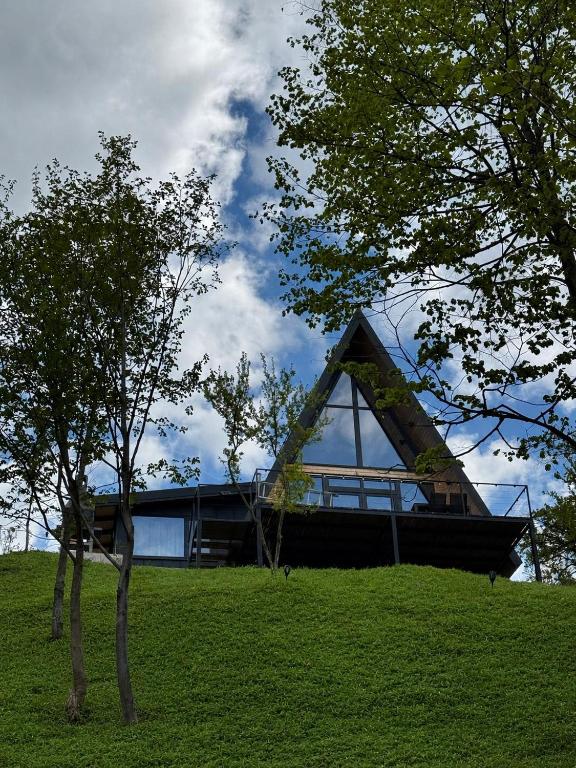 a house with a triangular roof on top of a hill at Nature View Breaza in Breaza de Sus