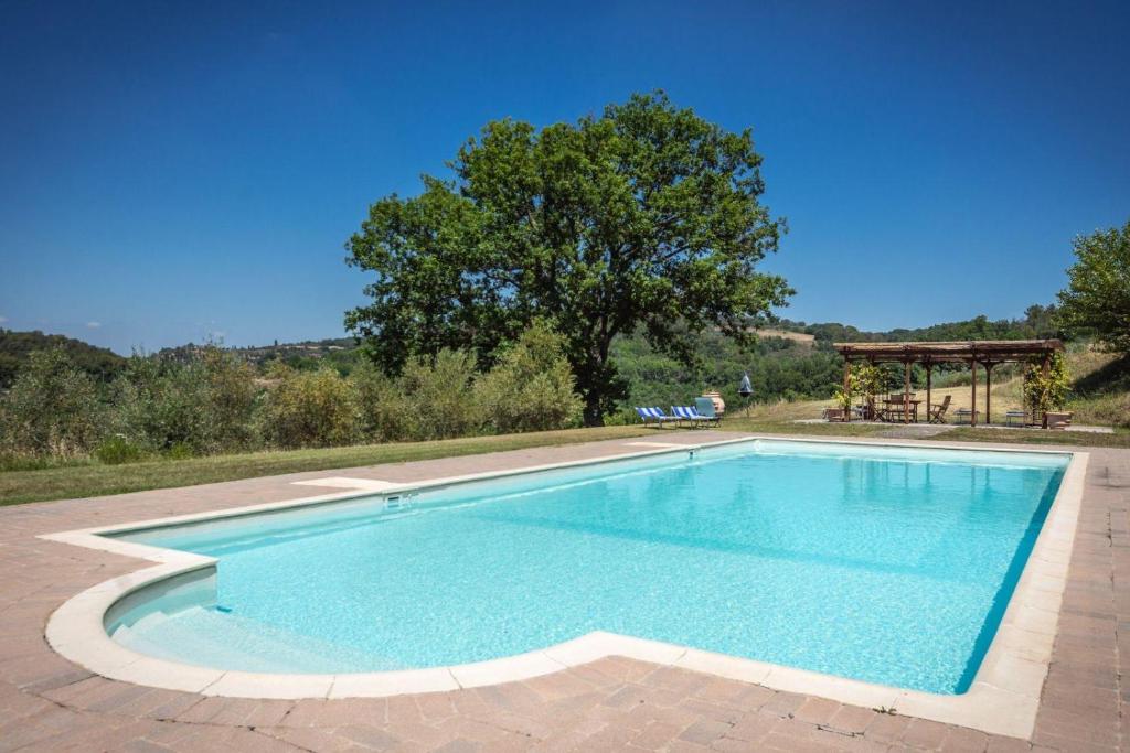a large swimming pool in a yard at la villa bella vista in Castelmuzio