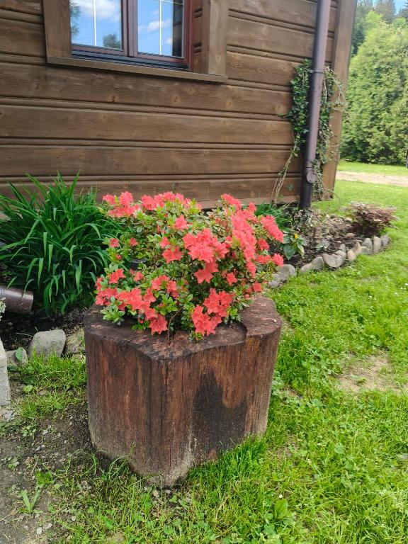 a log planter with red flowers in it in front of a house at Domek Magellan Cisna 11 in Cisna