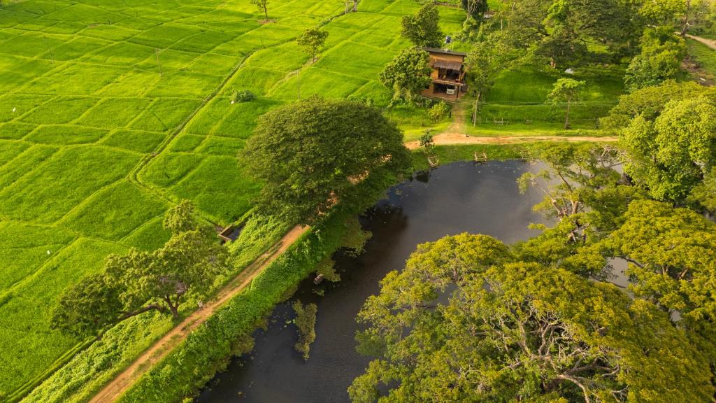 an aerial view of a river in a field at The Loft by the Lake in Kurunegala