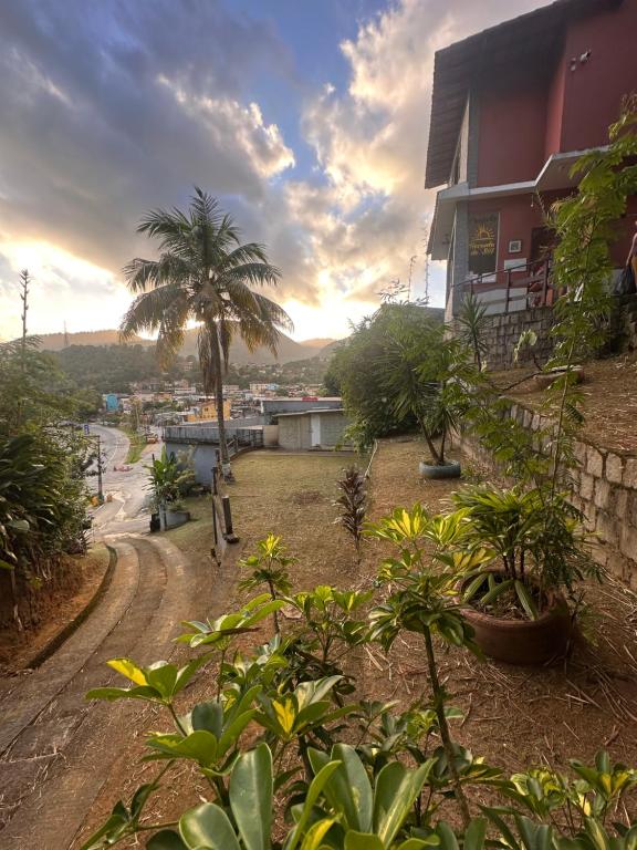 a house with a palm tree next to a dirt road at Recanto do sol in Mangaratiba