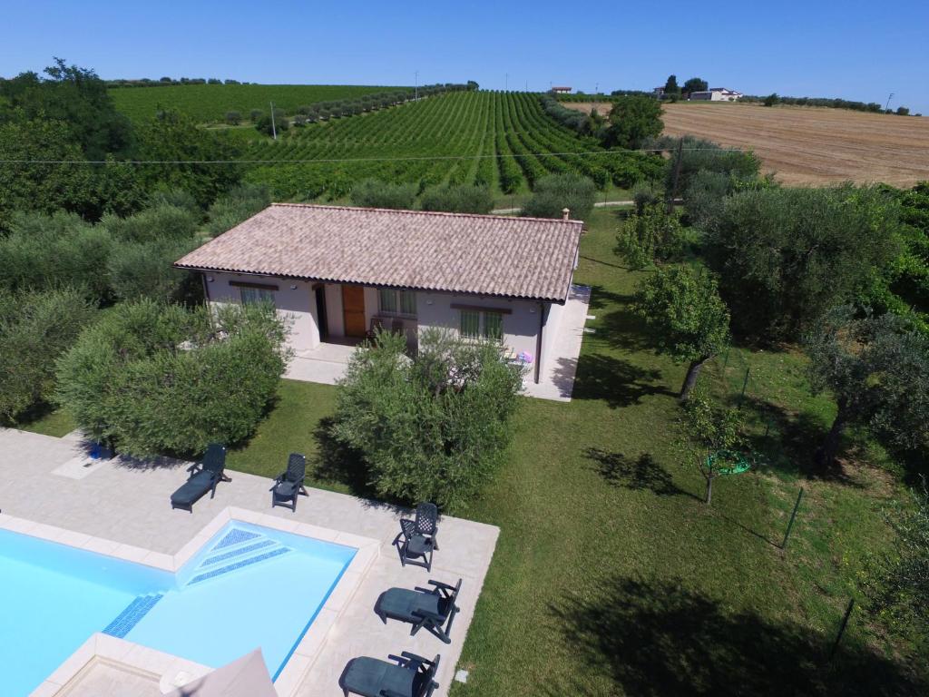 an aerial view of a house with a swimming pool and a vineyard at Villa Torri in Torano Nuovo