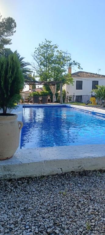 a swimming pool in a yard with a plant in a pot at Casería El Albercón in Mancha Real