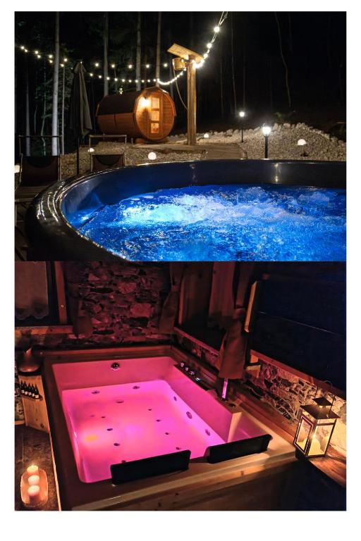 a hot tub with a pink floor in a room at AL RANCH WELLNESS Cortina Lago Cadore Dolomiti in Pieve di Cadore