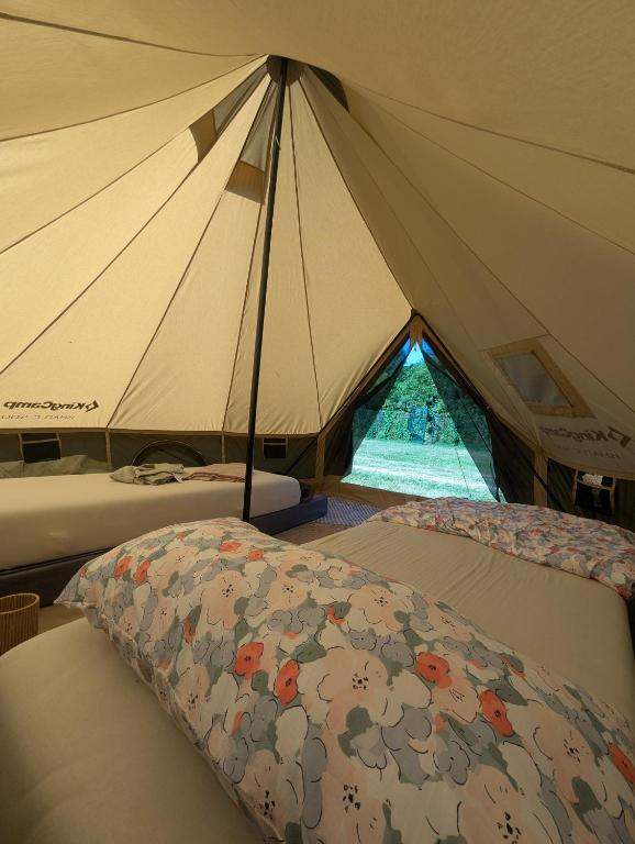 a tent with two beds in it with a window at Tippihostel Surfschule Kite Passion in Fehmarn