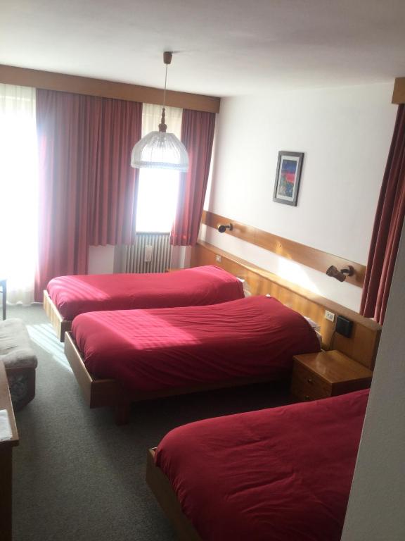 Postel nebo postele na pokoji v ubytování Hotel Alpenrose
