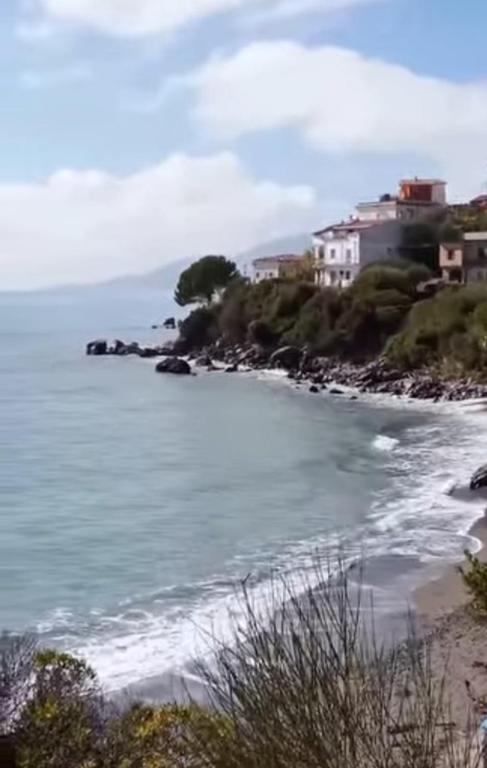Blick auf einen Strand mit Häusern und dem Meer in der Unterkunft Jemi's House in Vibonati
